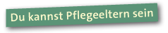 Du kannst Pflegeeltern sein